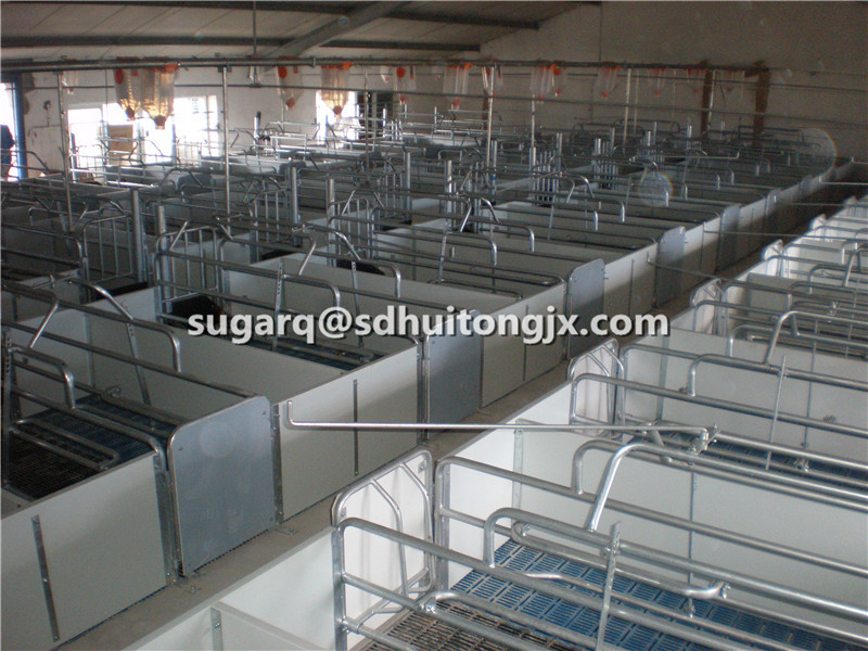 Pig Raising equipment of Farrowing crates pens