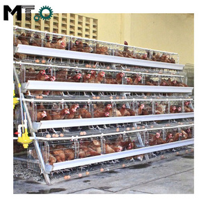 Poultry farming equipment suitable for chicken layer cage of small farms