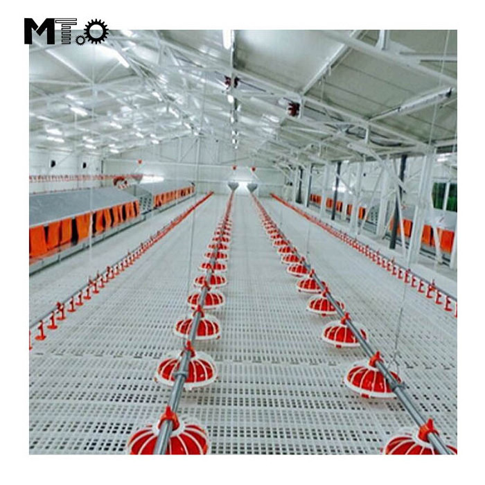 Poultry Farm Equipment Automatic Floor Raising Equipment Poultry Farm Chicken Feeding Modern Environment Controlled Chicken Farm