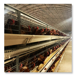 Hot Sale chicken feeding Cage  Cages Layer For Poultry Cage H-type automatic chicken coop