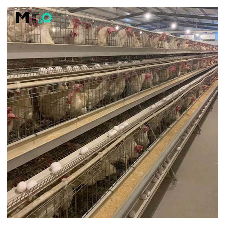 Egg Layer Chicken Cage For South Africa Poultry Farm Chicken House