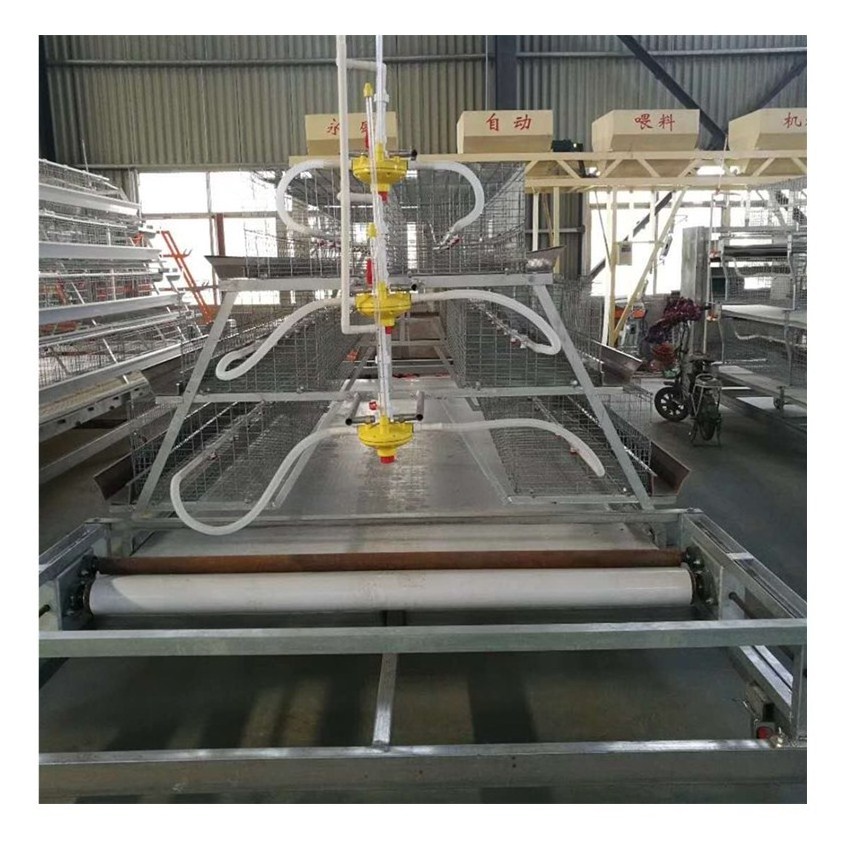 A Type 3 Layers Steel Structure Large Scale Broiler Breeding Chicken Battery Cage For Poultry Shed