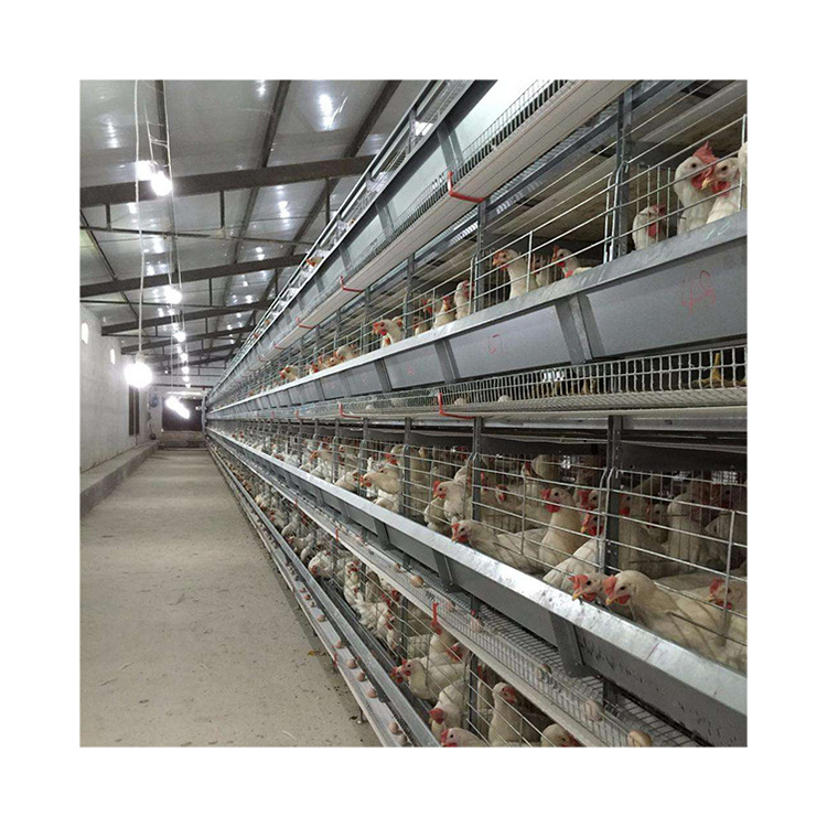 Modern poultry breeding machines laying hens cage system chicken cage accessories for sale