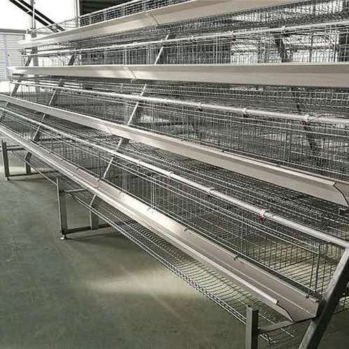 Egg production chicken farm full automatic layer poultry cages with feeding line system