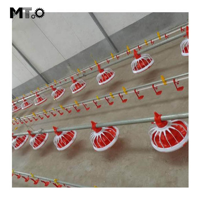 Poultry Farm Equipment Automatic Floor Raising Equipment Poultry Farm Chicken Feeding Modern Environment Controlled Chicken Farm