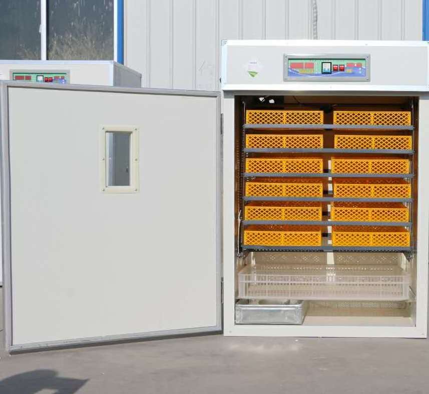 New style used chicken egg incubator for sale