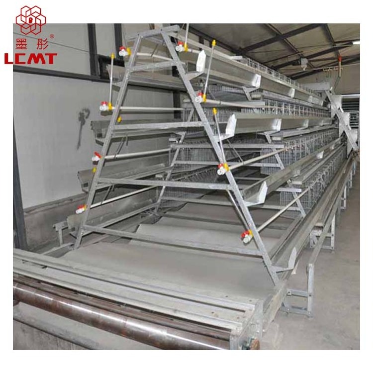 Poultry farming equipment suitable for chicken layer cage of small farms