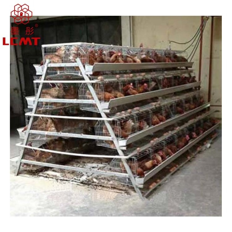 Poultry farming equipment suitable for chicken layer cage of small farms