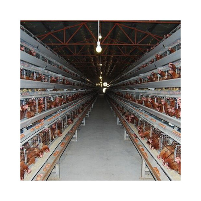 4 layer cages 128 chicken cage poultry farms  layer cages  poultry  equipment farm