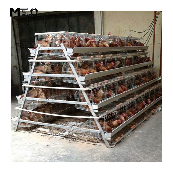 Egg Layer Chicken Cage For South Africa Poultry Farm Chicken House