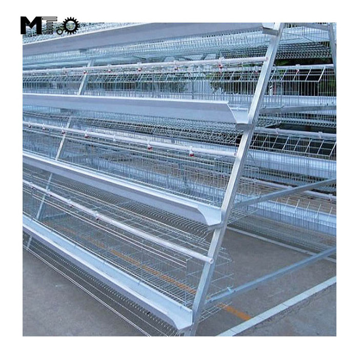 Egg Layer Chicken Cage For South Africa Poultry Farm Chicken House