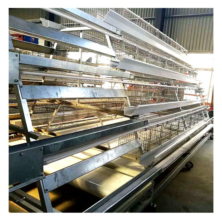 A Type 3 Layers Steel Structure Large Scale Broiler Breeding Chicken Battery Cage For Poultry Shed