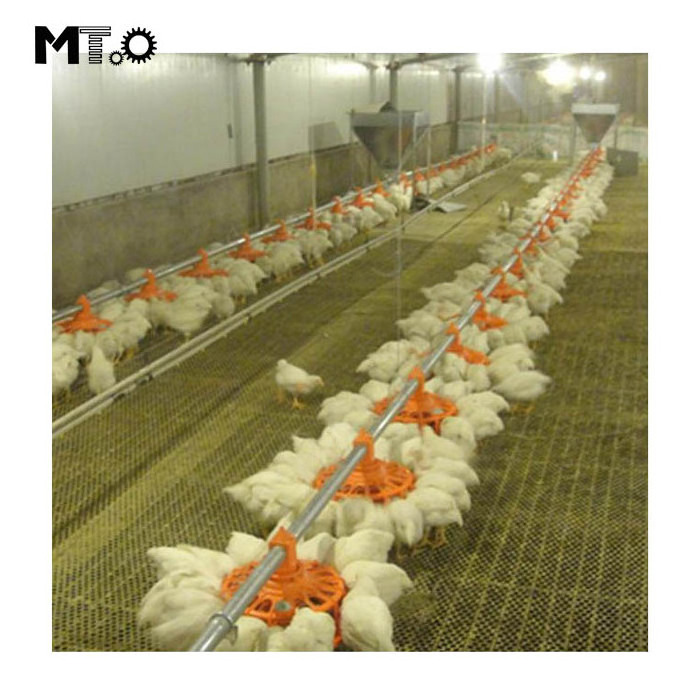 Poultry Farm Equipment Automatic Floor Raising Equipment Poultry Farm Chicken Feeding Modern Environment Controlled Chicken Farm