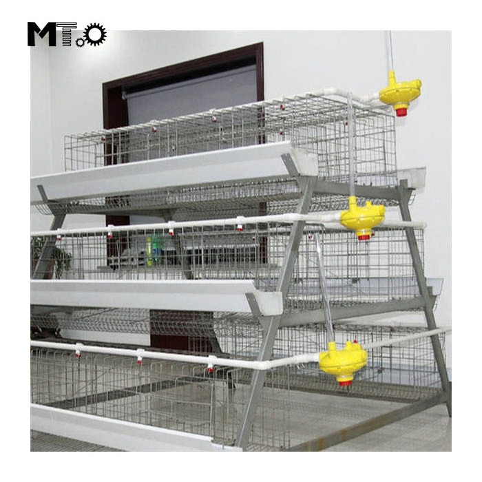 Egg Layer Chicken Cage For South Africa Poultry Farm Chicken House