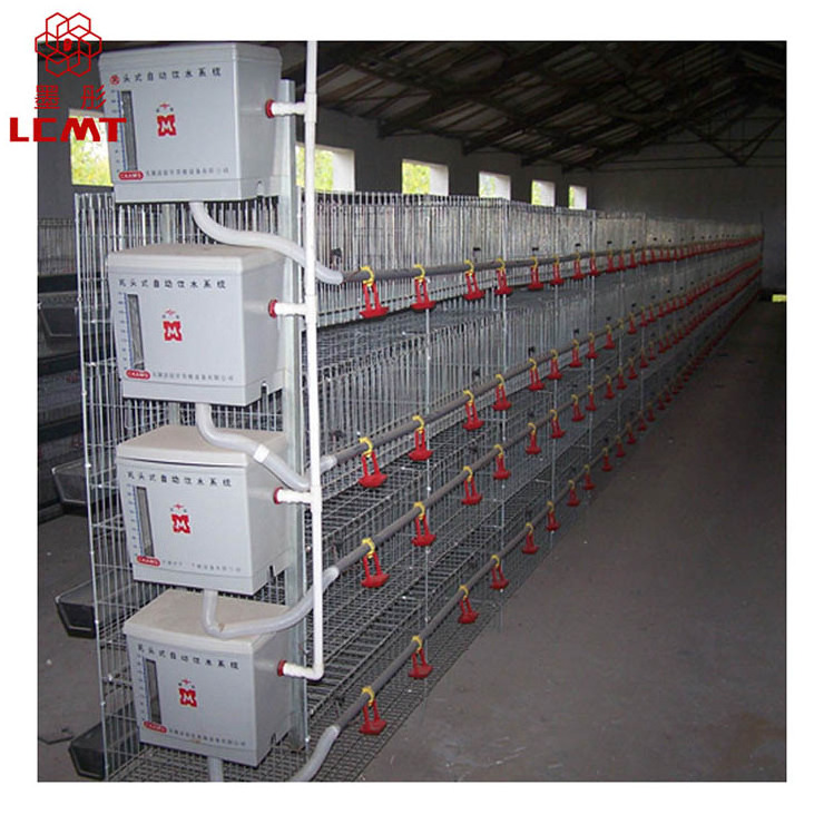 H type chicken brooder cage sale for 1 day old baby chicks poultry farming