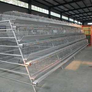 Egg production chicken farm full automatic layer poultry cages with feeding line system