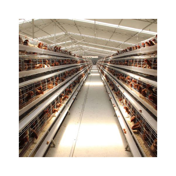 4 layer cages 128 chicken cage poultry farms  layer cages  poultry  equipment farm