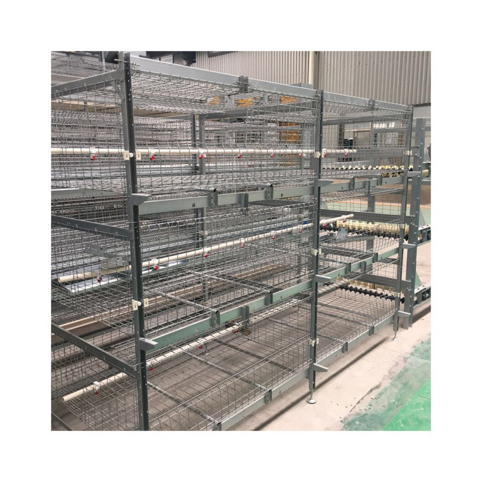 The conveyor belt meat chicken cage price for automatic equipment