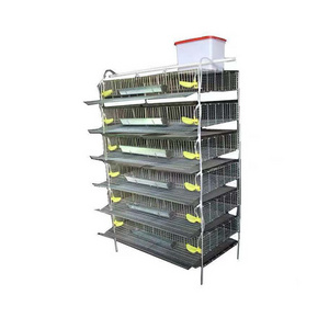 Quail cage breeding in liaocheng, shandong province has realized full automation of quail breeding