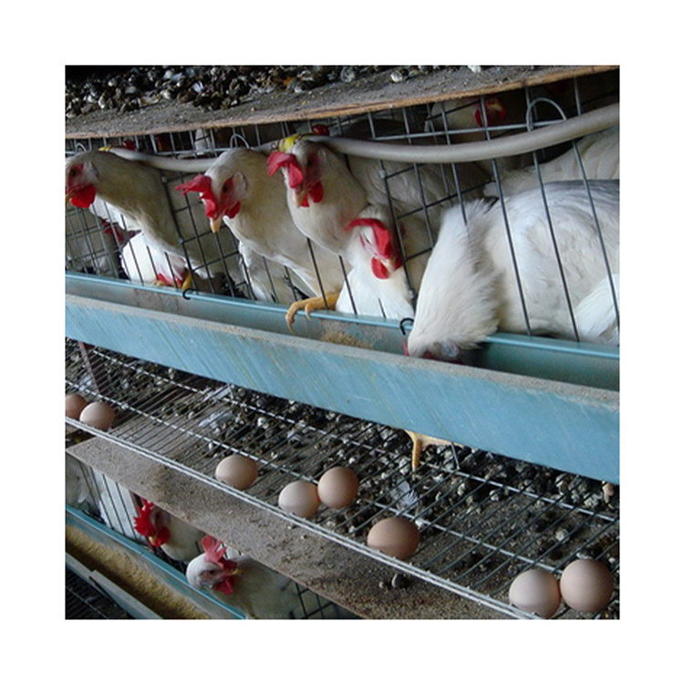 Modern poultry breeding machines laying hens cage system chicken cage accessories for sale