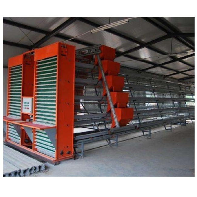 A Type 3 Layers Steel Structure Large Scale Broiler Breeding Chicken Battery Cage For Poultry Shed