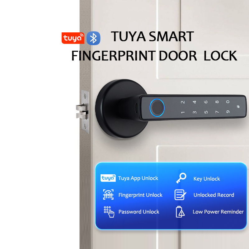 Safety USB Port Lock Smart Home Wifi Hand Door Locks Smart Door Lock With Fingerprint Tuya App