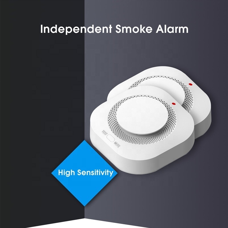 New Arrival Standalone Replaceable 2 AA Batteries Alarm Cigarette Electric Optical Smoke Detector