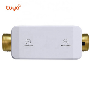 Tuya Water Pressure Temperature Measurement WiFi Water Flow Meter Smart Life Water Leak Control Solenoid Valve