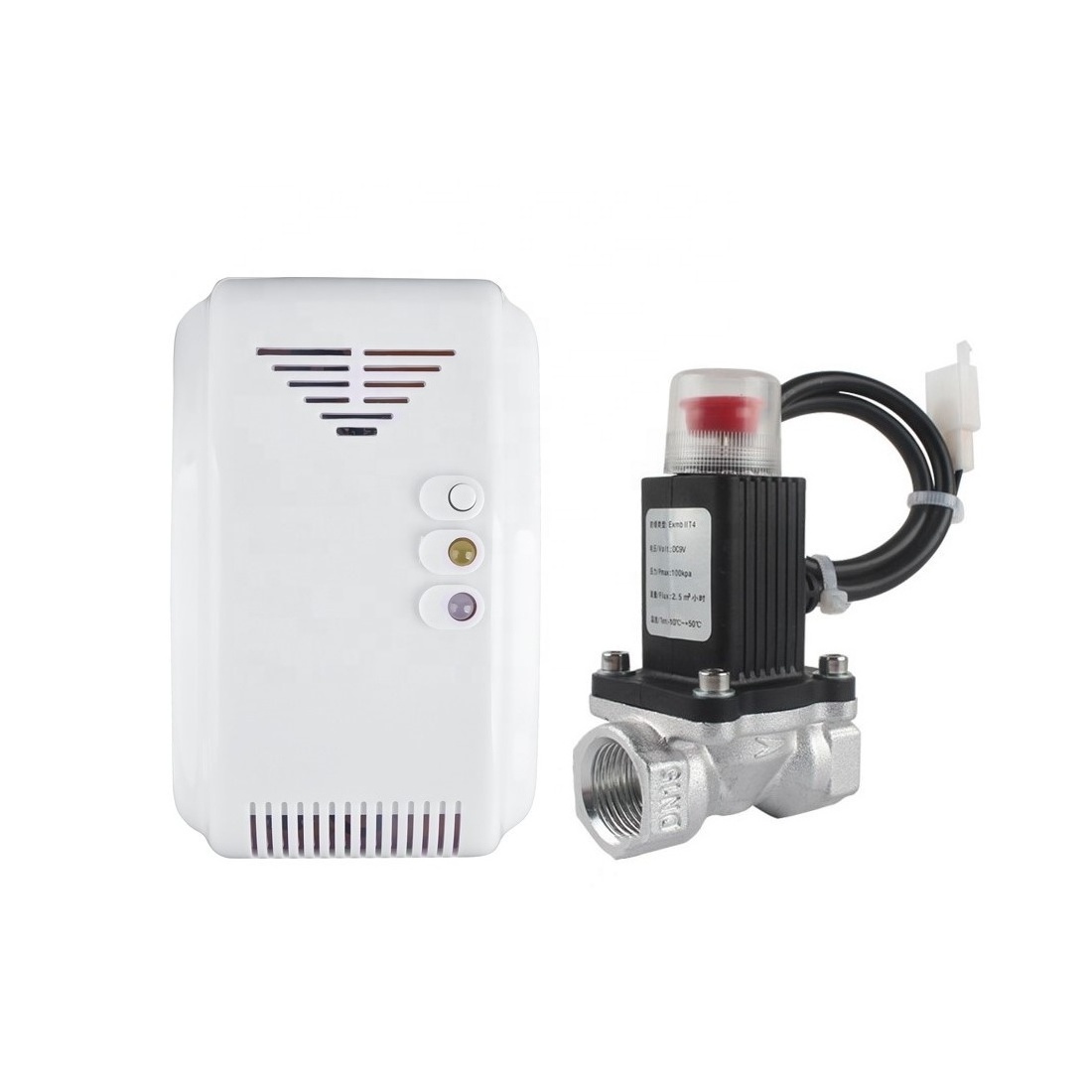 Gas Leakage Detector 12V/220V Domestic Gas Alarm Methane Propane Butane LPG City Natural Gas Detectors with Shut Off Valve