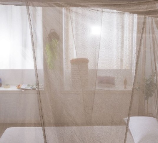 silver antiradiation nylon bed canopy/BLOCK EMF mosquito net