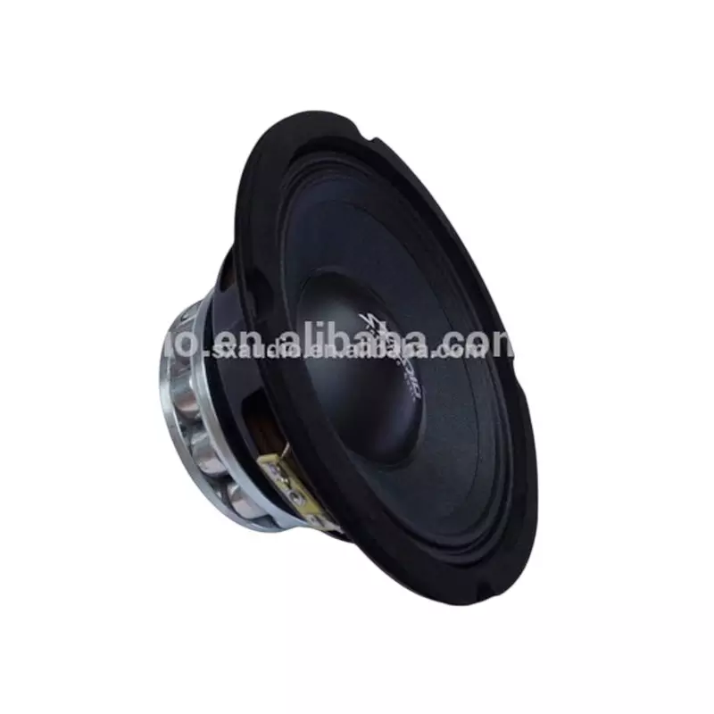 12V Dual Coil Subwoofers 6.5 inch 8 inch 10 inch competition subwoofer For Car Audio System