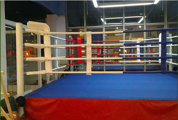 High Quality 6X6 Factory Price Custom Design Wholesale Adult Floor Boxing Ring