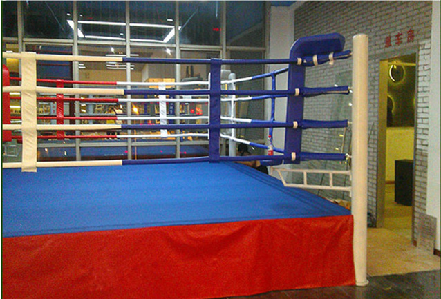 High Quality 6X6 Factory Price Custom Design Wholesale Adult Floor Boxing Ring