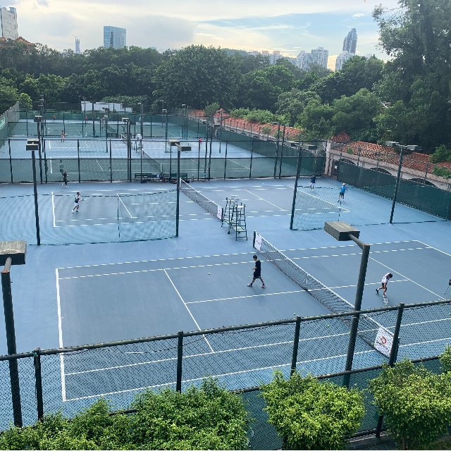 Professional Tennis Cage Sports Pitch Fence/High Quality Wholesale Tennis Sports Court Fence