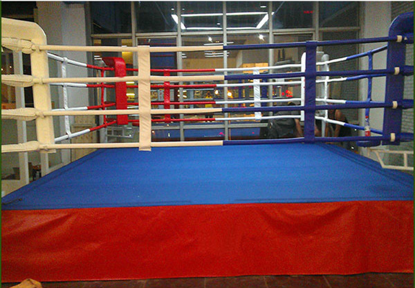 High Quality 6X6 Factory Price Custom Design Wholesale Adult Floor Boxing Ring