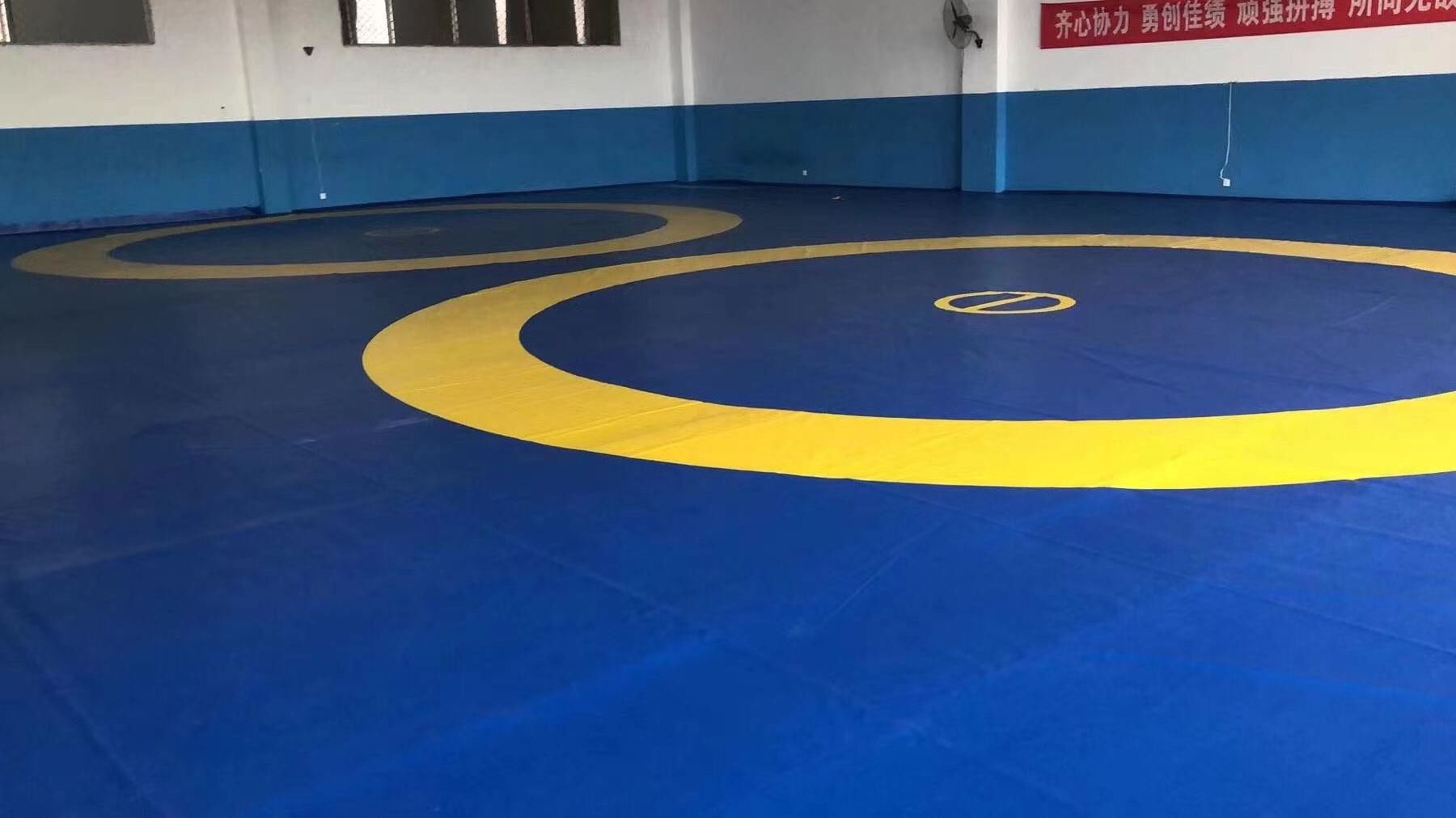 New gymnastic equipment cheap wrestling mat for sale