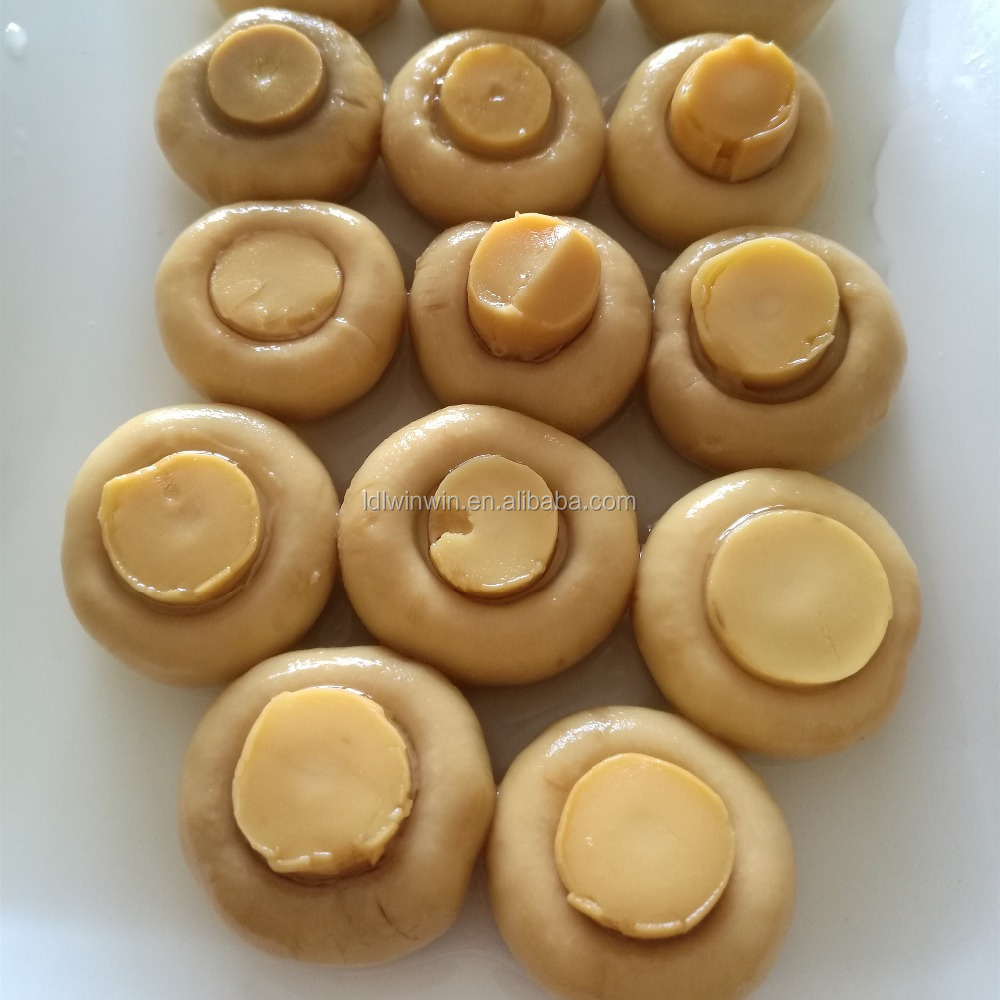 Canned whole mushroom champignon   Slice mushroom   cheap price