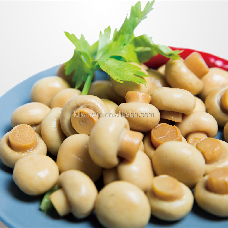 Canned whole mushroom champignon   Slice mushroom   cheap price