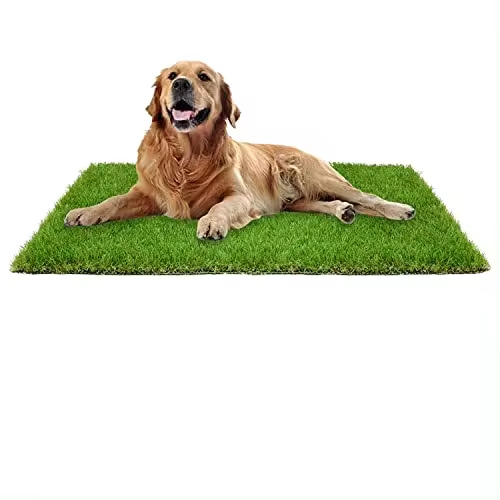 Replacement Grass Pet Synthetic Turf for Dog Potty Trays - Fits Trays 20