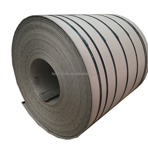 Ss Stainless Steel Roll (304 316L 321 310S)