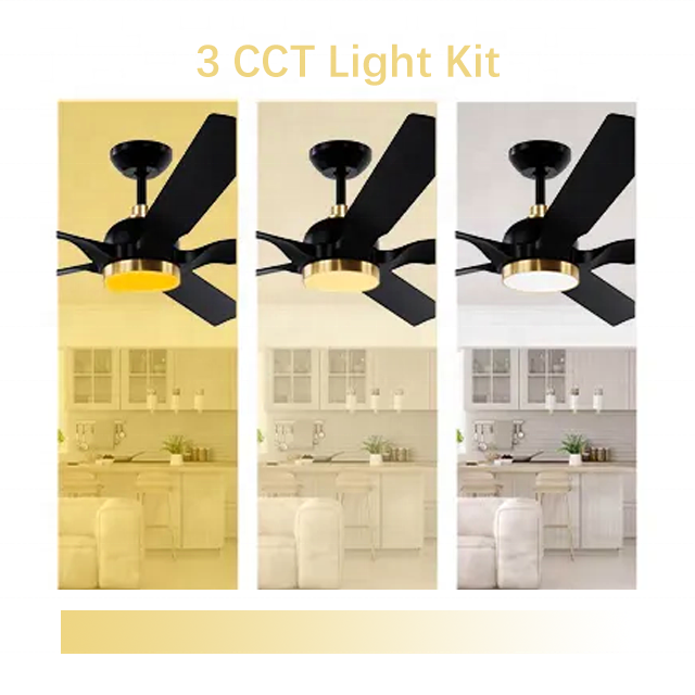 60 inch 5 blade ceiling fan light Silent DC 6 speed  Decorative Lighting Ceiling Fan with remote