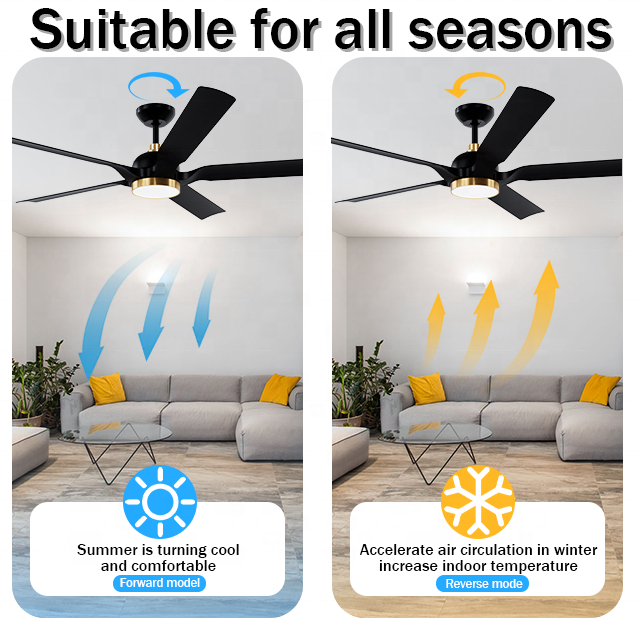 60 inch 5 blade ceiling fan light Silent DC 6 speed  Decorative Lighting Ceiling Fan with remote