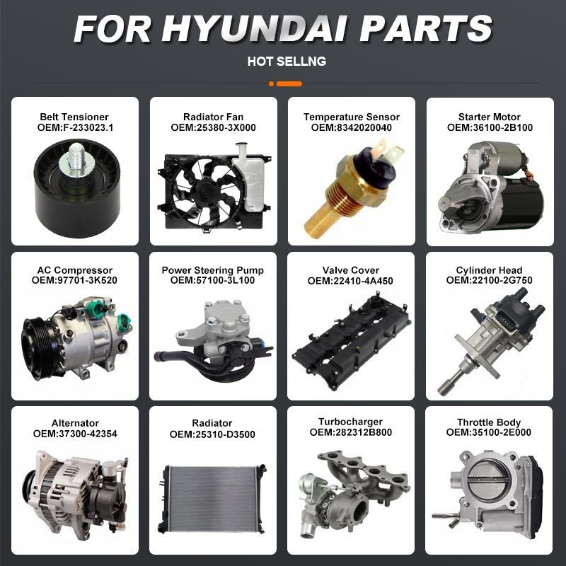 PERFECTRAIL Auto Spare Parts for Hyundai H1 Korean Car