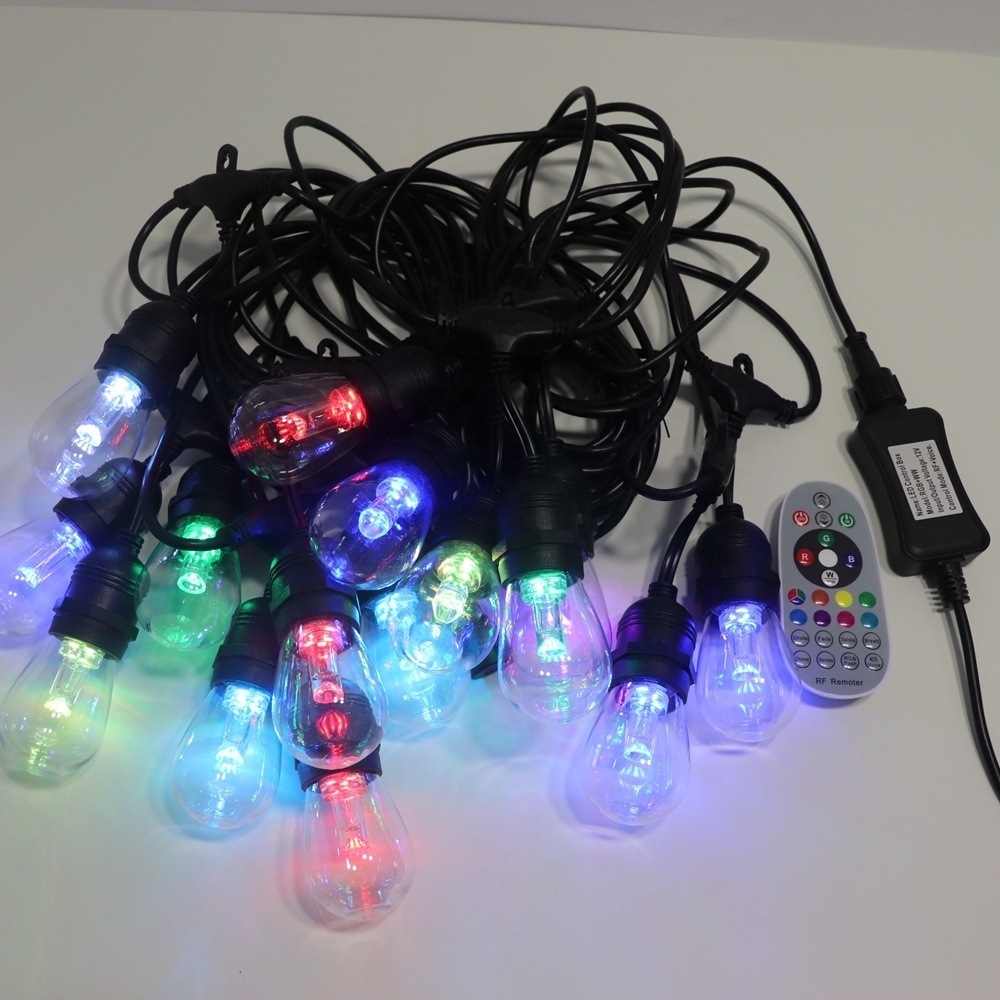 Factory price colorful RGB outdoor Changing remote voice control S14 RGB LED festoon string lights