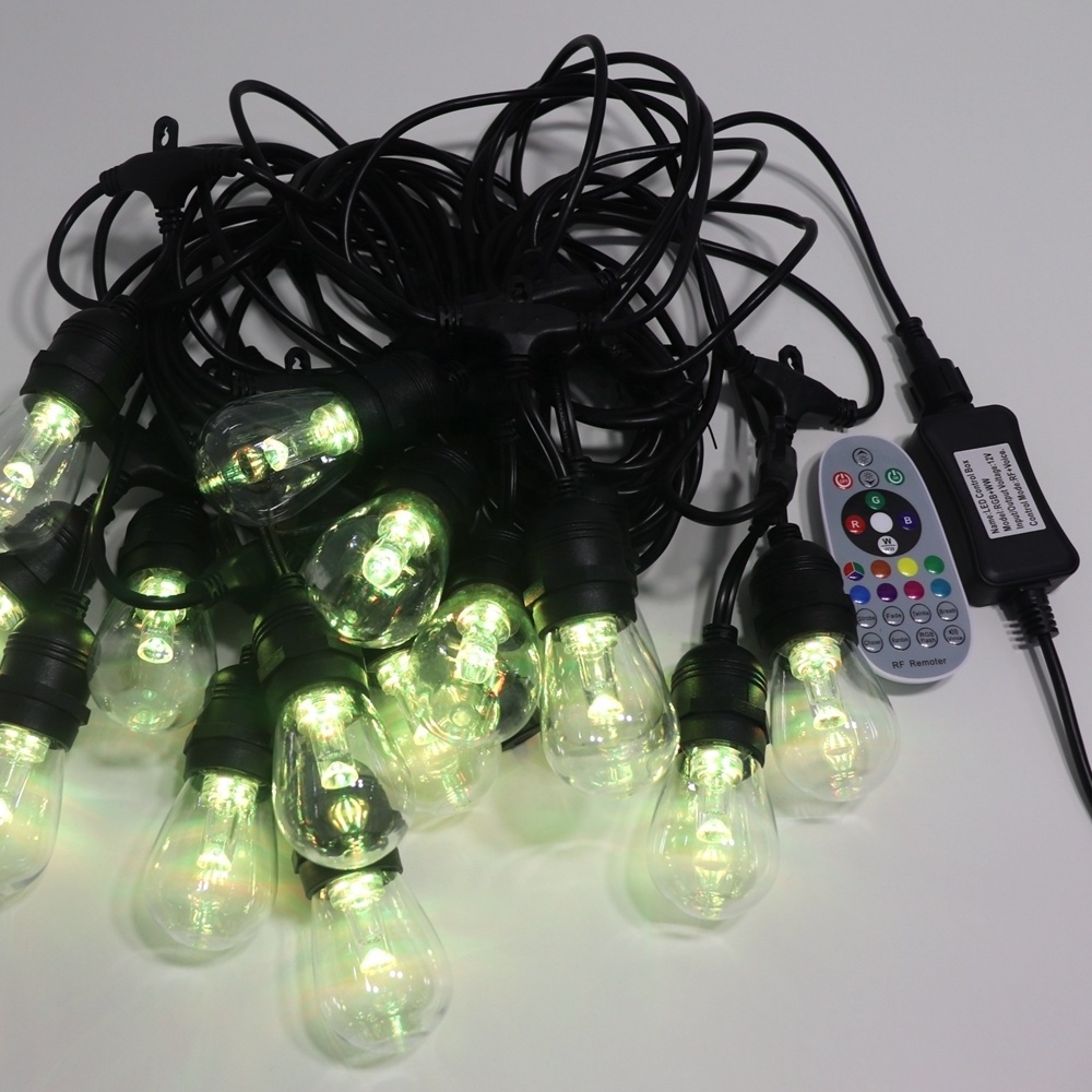 Factory price colorful RGB outdoor Changing remote voice control S14 RGB LED festoon string lights