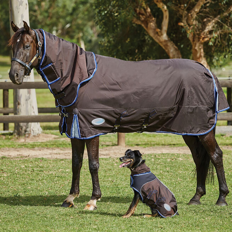 Wholesale Equestrian Equine Equipment Horse Rug Horses Blanket Customize Dog Clothes High Quality Hors Riding Products