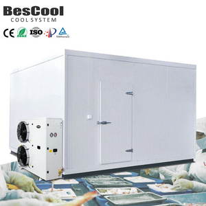 Bescool Walk in Freezer Storage Unit Cooler Refrigerator container 75mm 100mm PU Panel Sandwich Steel Panel Cold Room