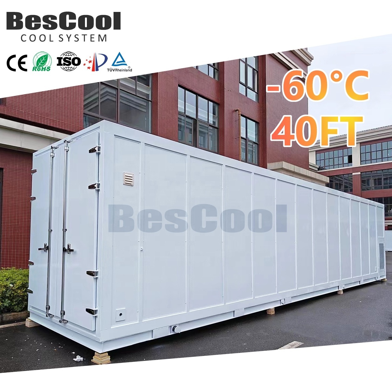 Walk-In Freezer 120mm & 100mm Panel Thickness Cold Room Walk-In Cooler with Condensing Unit and Evaporator