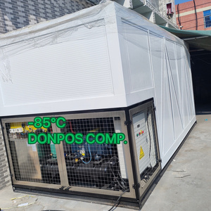 Bescool -60 Degree Mobile Cold Storage R134A Refrigerant Low-temperature Compressor Condensing Unit Engine Container Provided