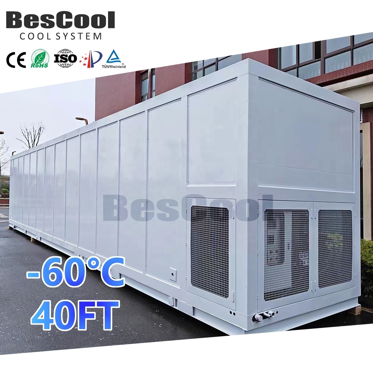 Walk-In Freezer 120mm & 100mm Panel Thickness Cold Room Walk-In Cooler with Condensing Unit and Evaporator